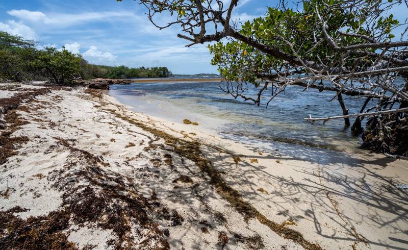 Photo of Playa Los Congres with bright sand surface