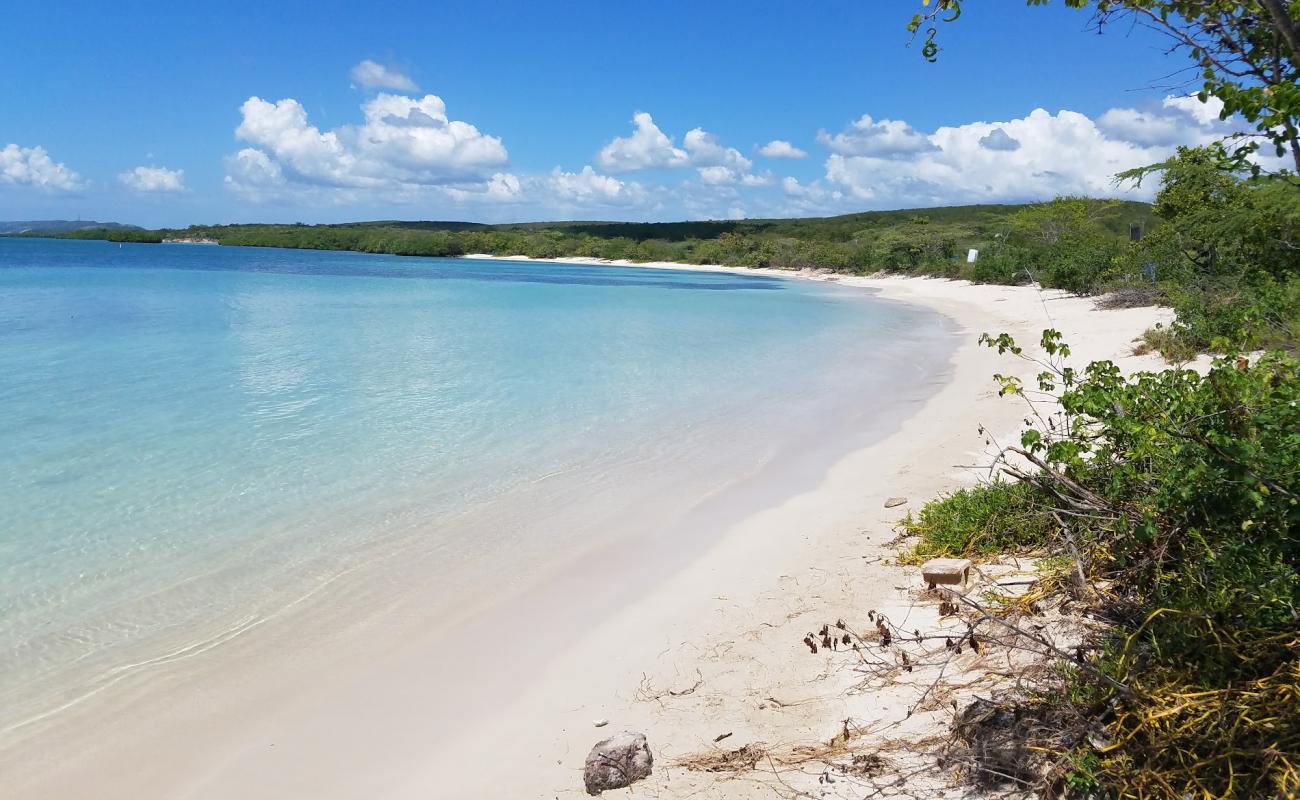 Photo of Playa La Jungla with bright fine sand surface