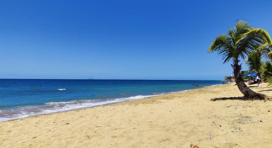 Playa Los Almendros