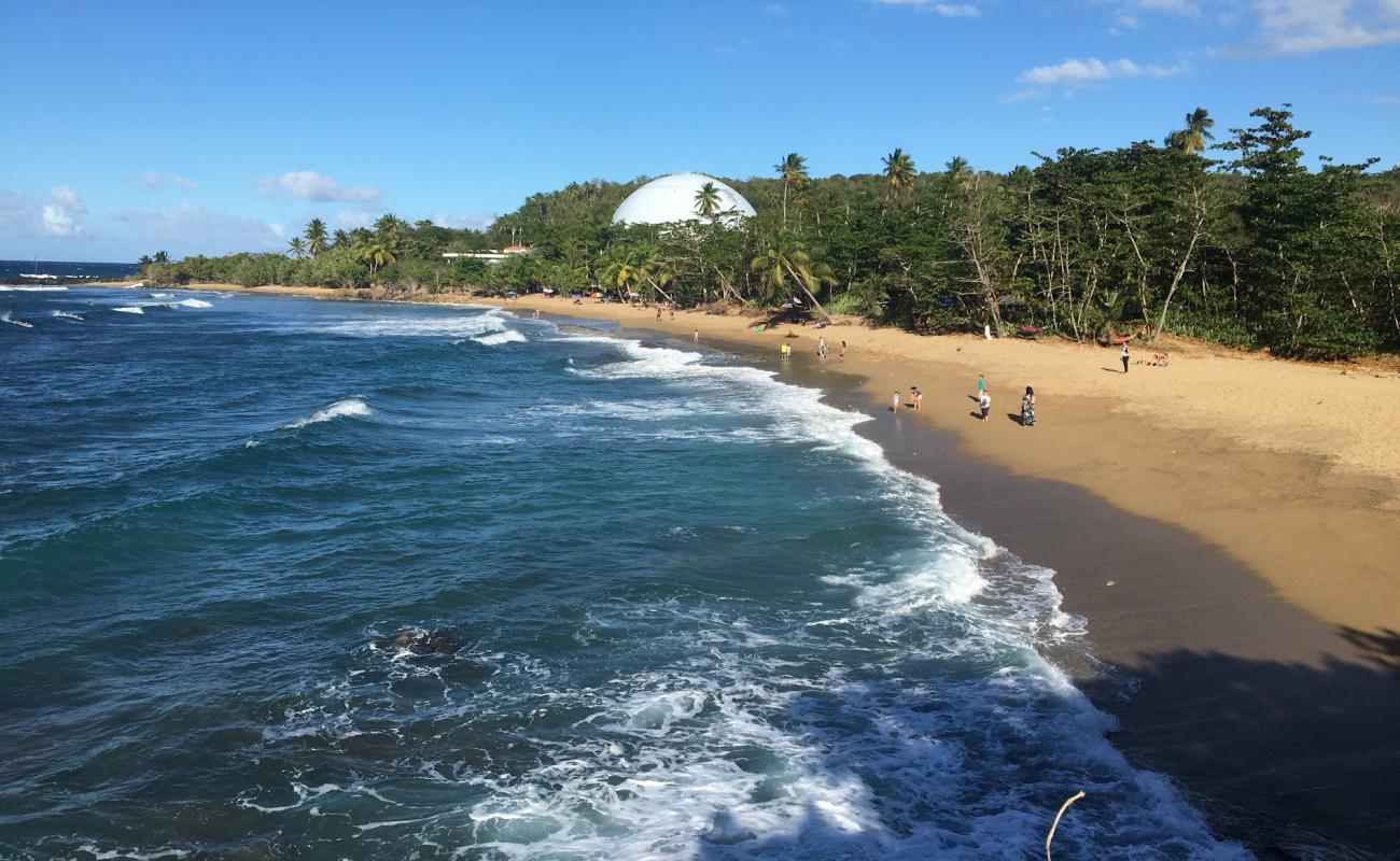 Photo of Domes Beach with bright fine sand surface