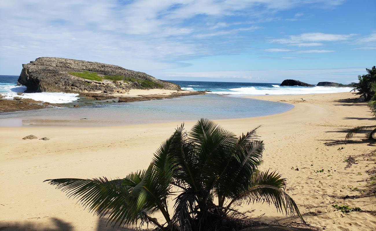 Photo of Arecibo beach with bright sand surface