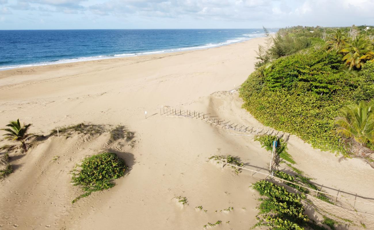 Photo of Hallows beach with bright sand surface