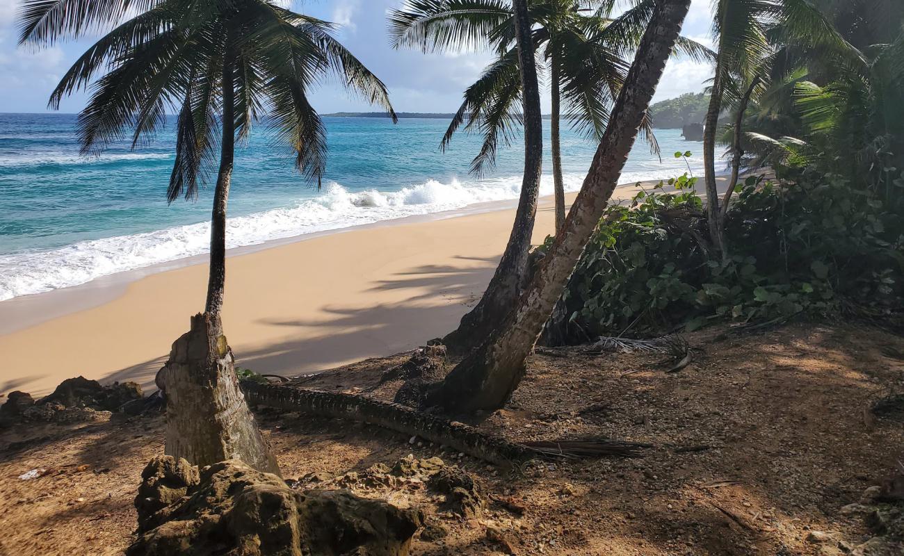 Photo of Escondida beach with bright sand surface