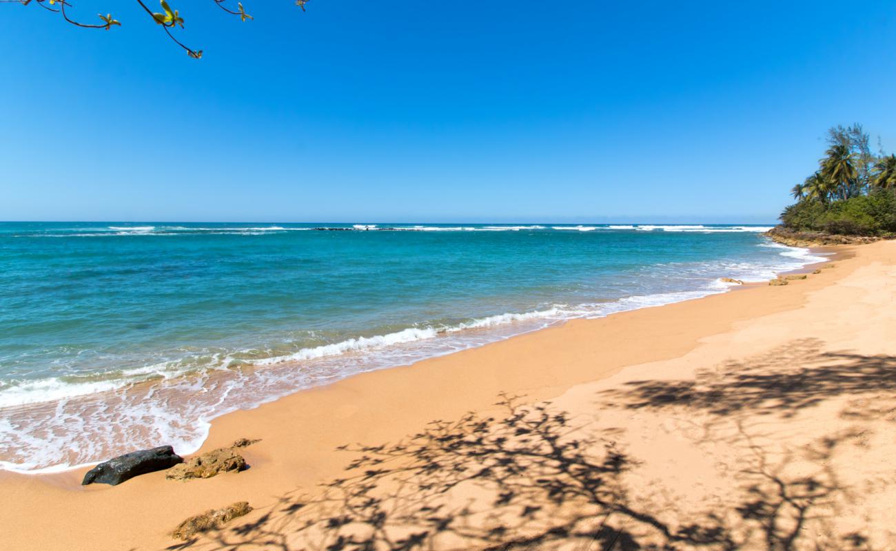 Photo of Brenas beach with bright sand surface