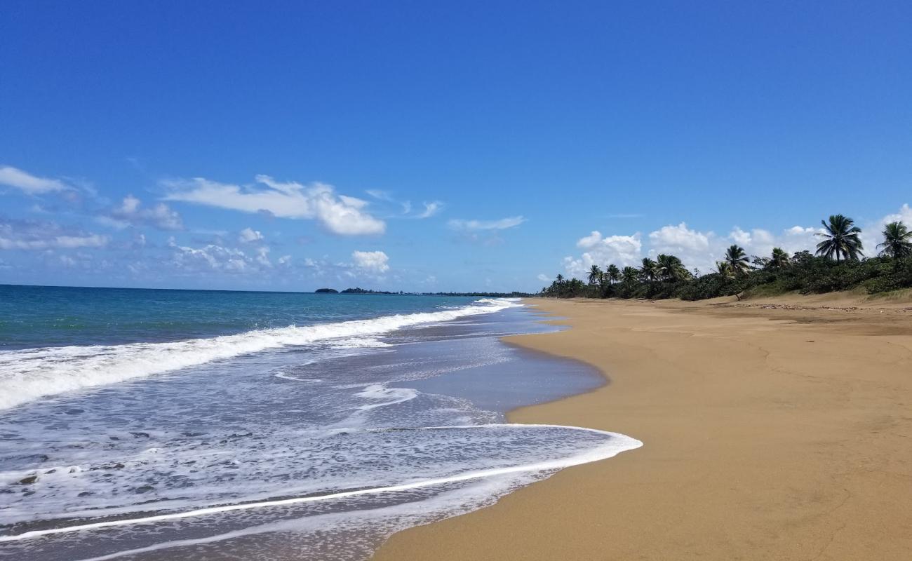 Photo of El Unico beach with bright sand surface