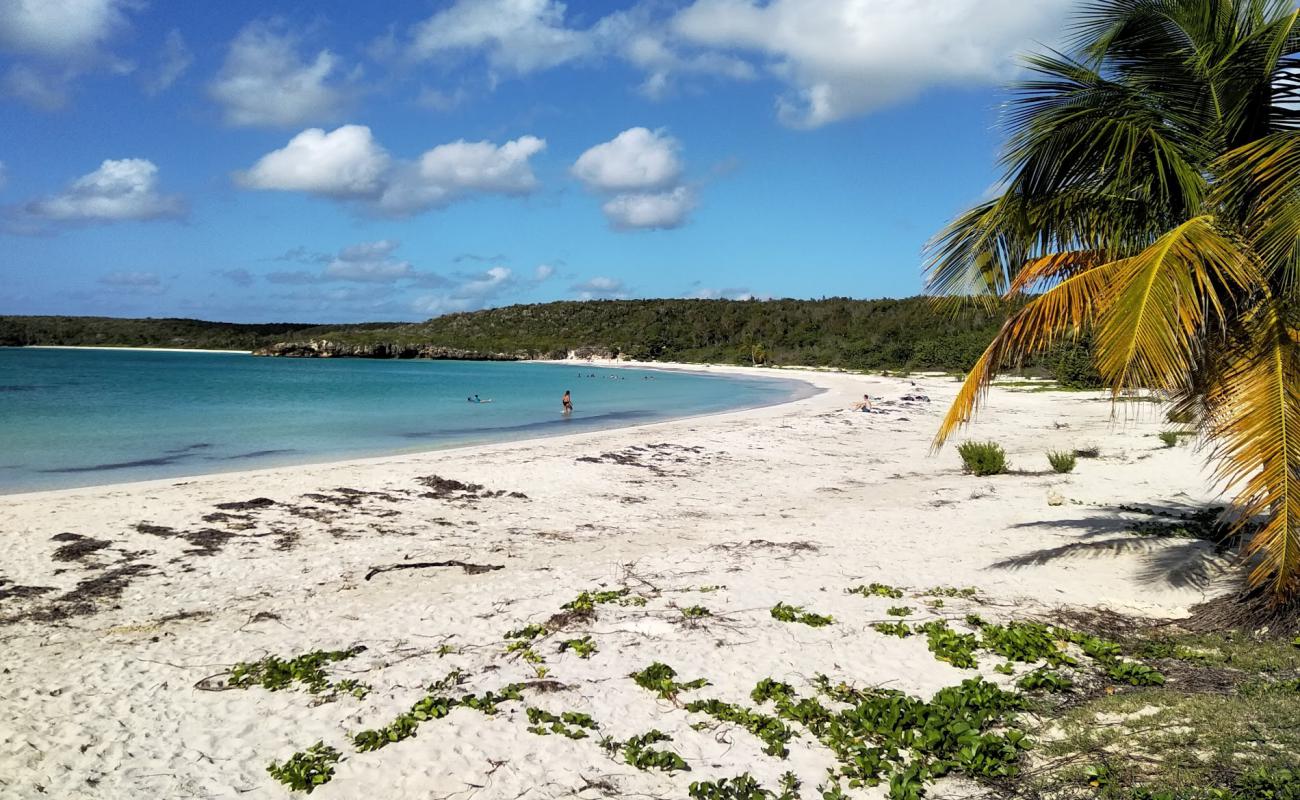 Photo of Caracas beach with white sand surface