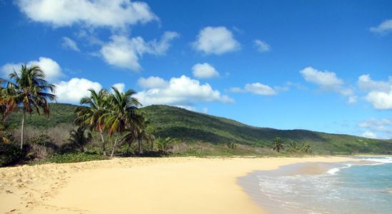 Playa Brava