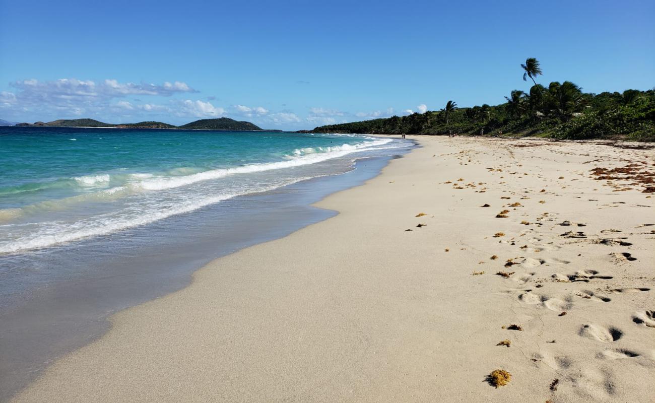 Photo of Zoni beach with bright sand surface