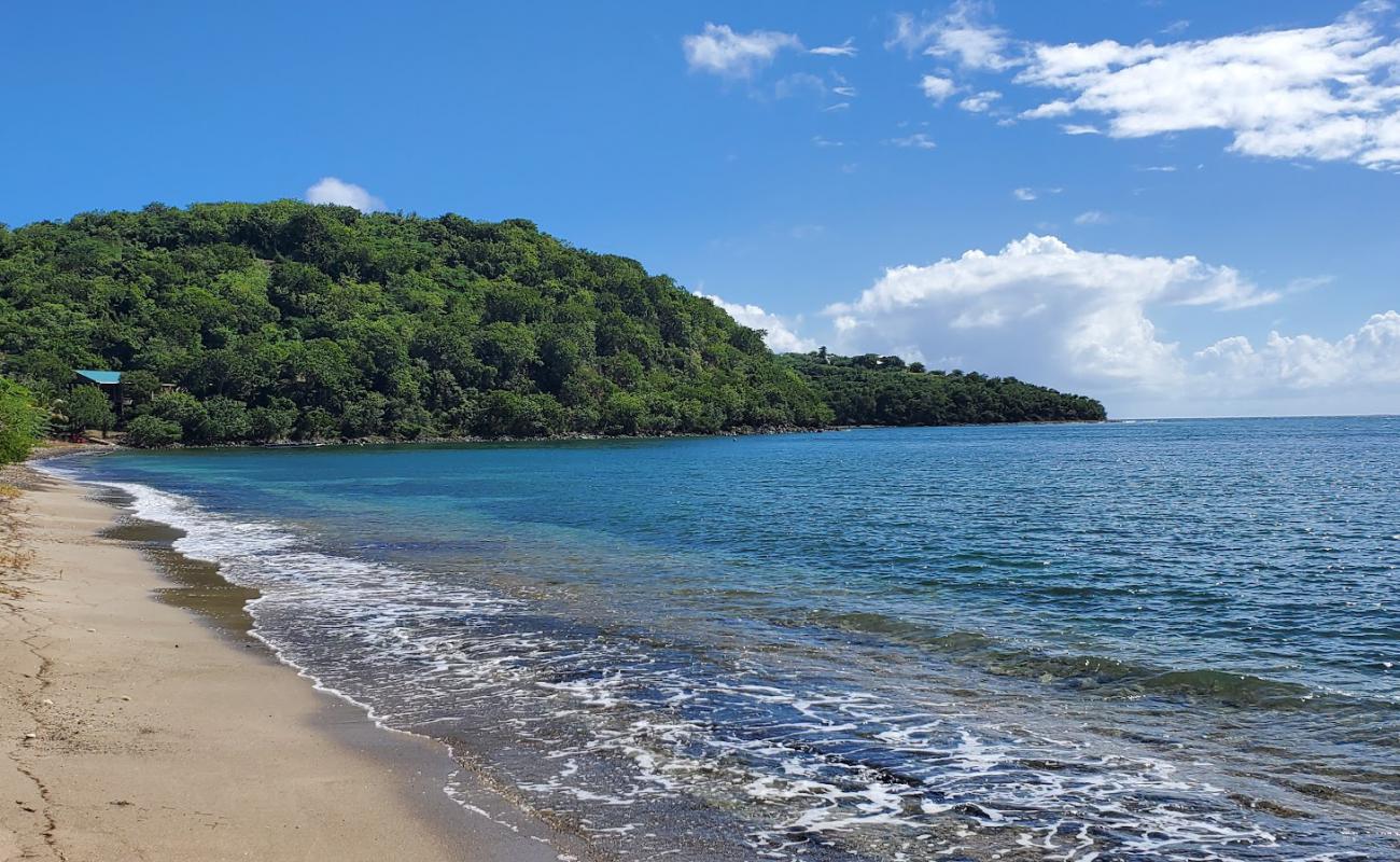 Photo of Playa Mosquito with bright sand & rocks surface