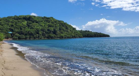 Playa Mosquito