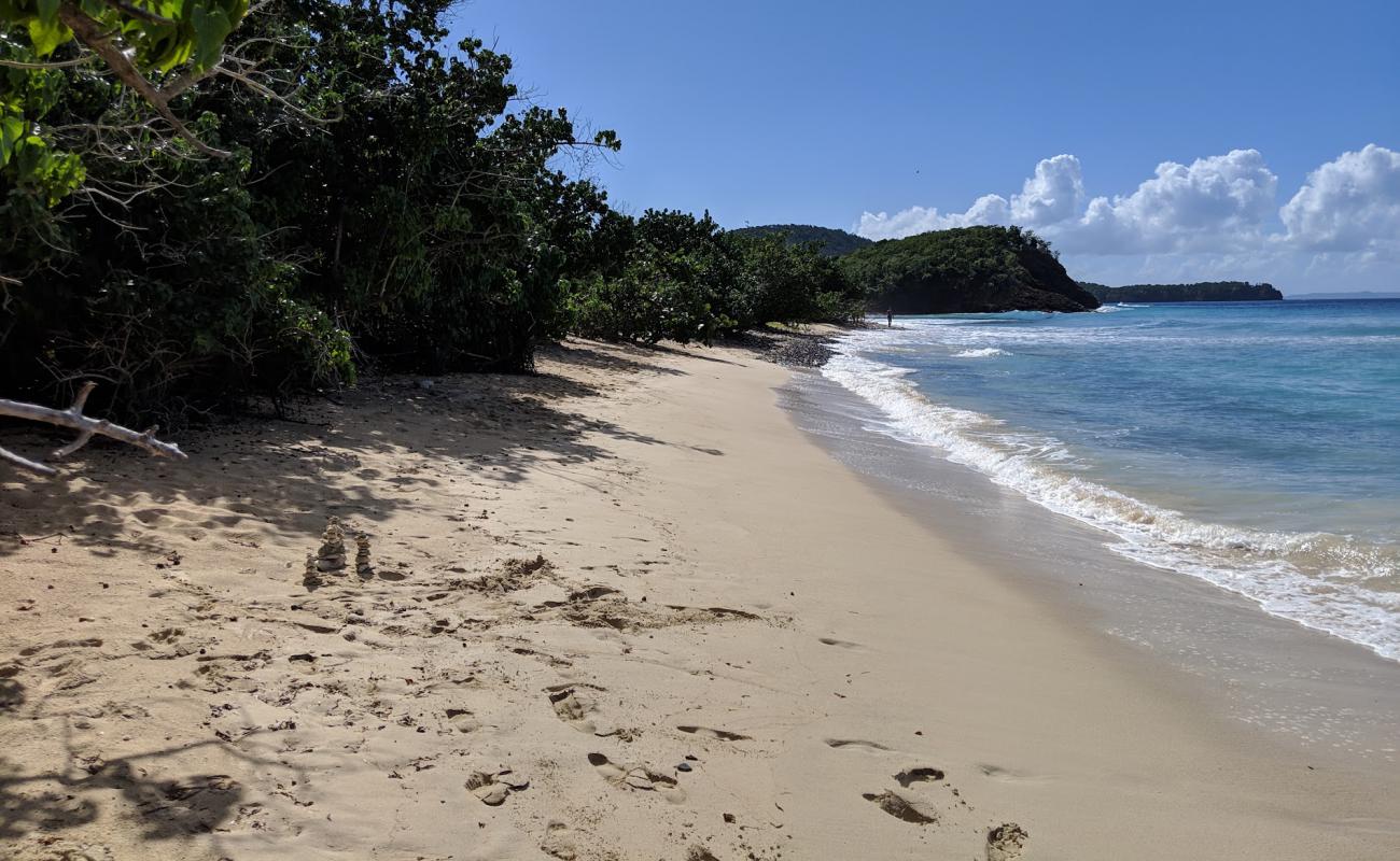 Photo of Playa Carlos Rosario with bright sand surface