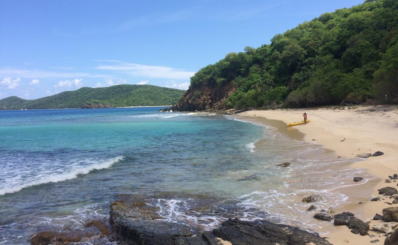 Photo of Luis Pena beach with bright fine sand surface