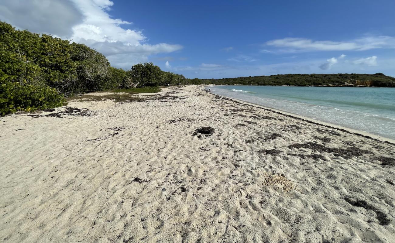 Photo of Sucia Beach with bright sand surface