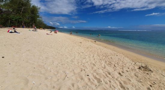 Hermitage Beach