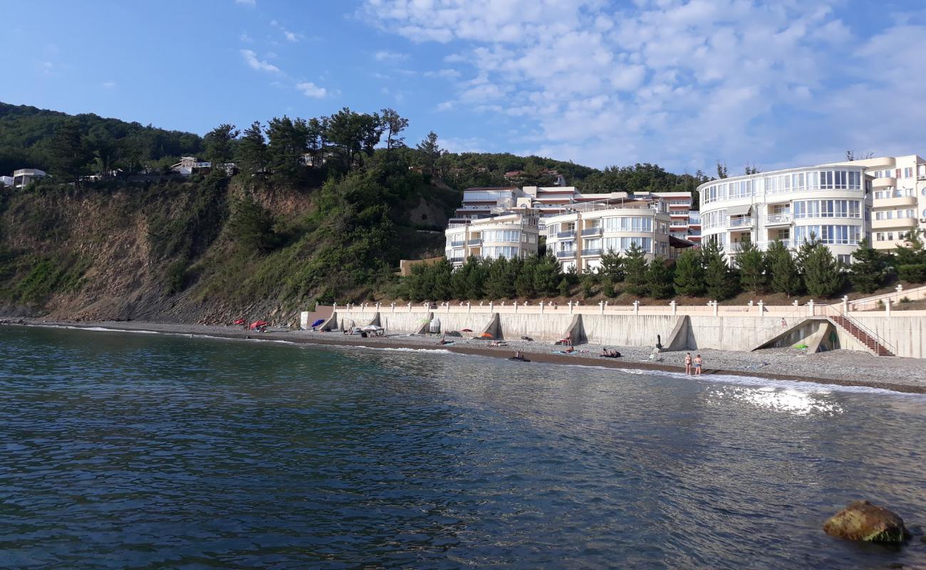 Photo of Pine Coast beach with gray pebble surface