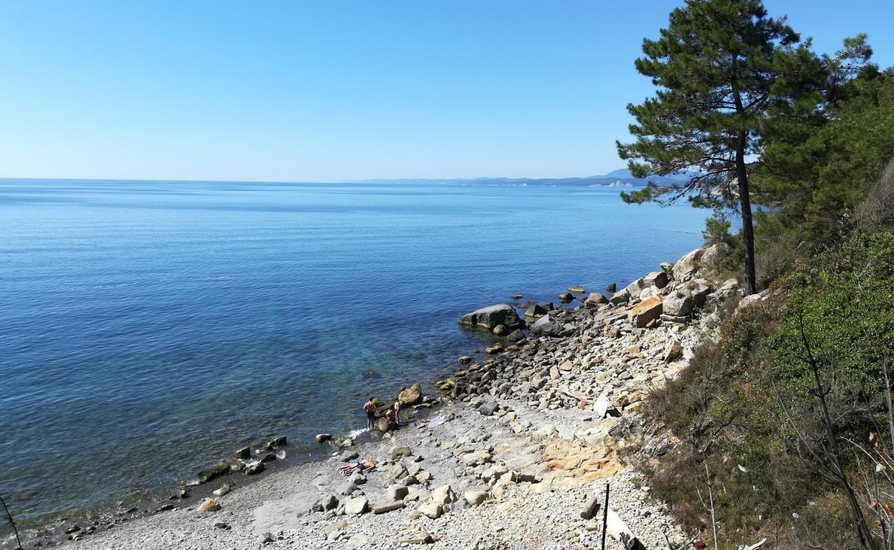 Photo of Agrias reserve beach with gray pebble surface