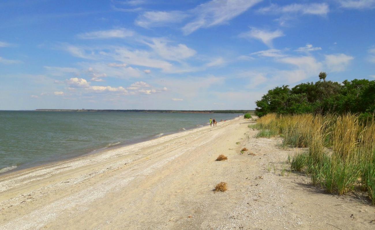 Photo of Plyazh Sazal'nikskaya kosa with bright sand surface