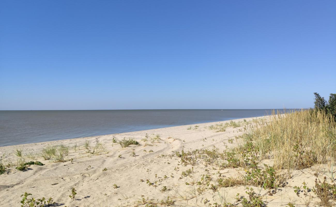 Photo of Kosa Beglitskaya with bright sand surface