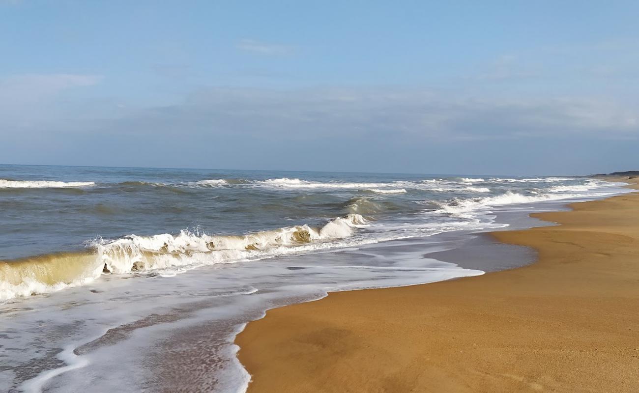 Photo of Olimp Beach with bright sand surface