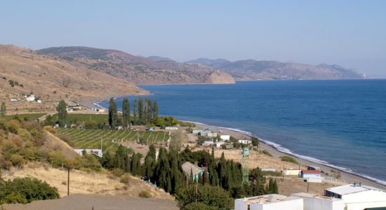 Primorskiy Park I Beach