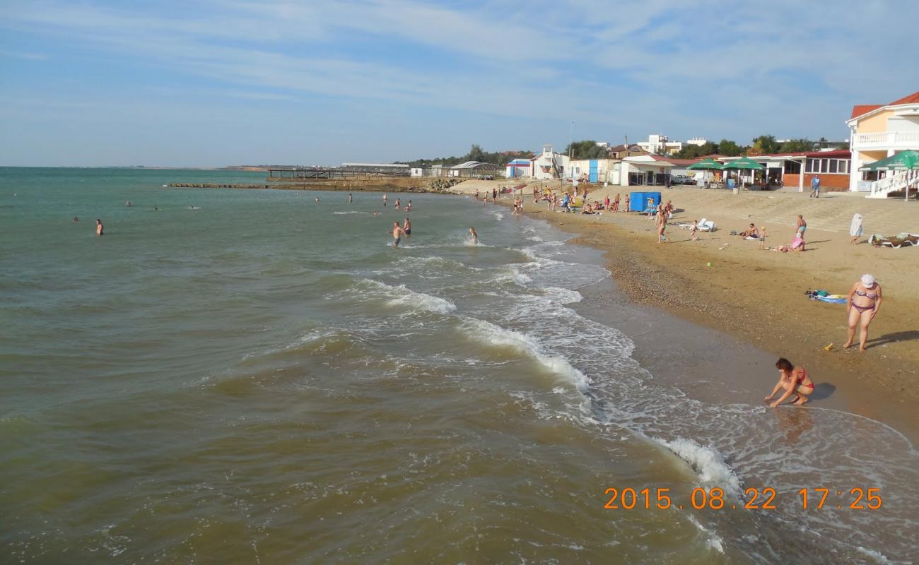 Photo of Sandy beach with bright sand surface