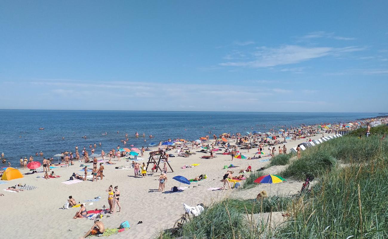 Photo of Zelenogradska Beach with bright sand surface