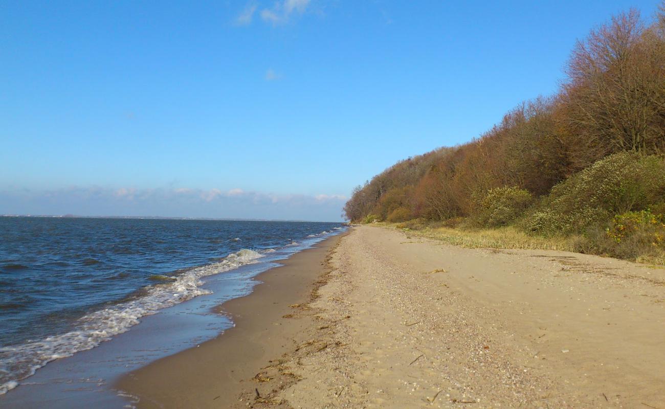 Photo of Muzhskoy Skit with light sand &  pebble surface