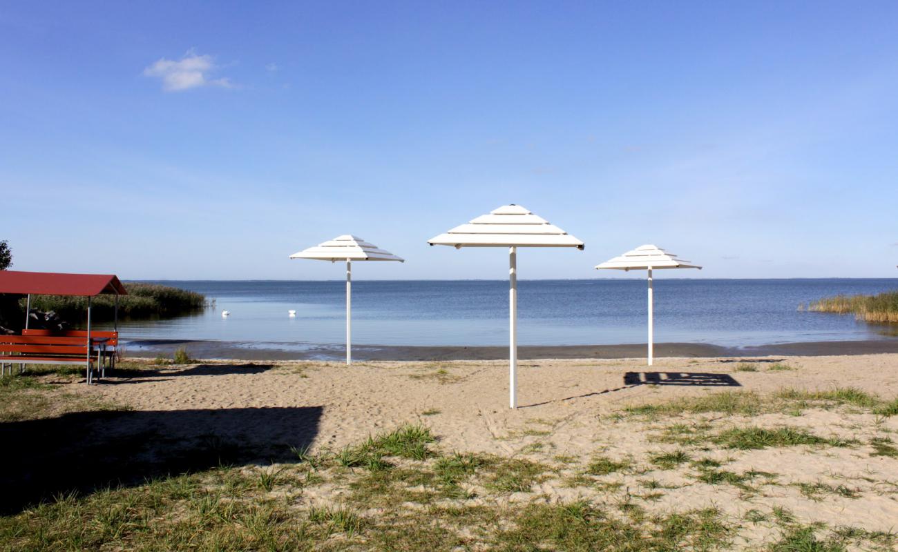 Photo of Beach Mamonovo with bright sand surface