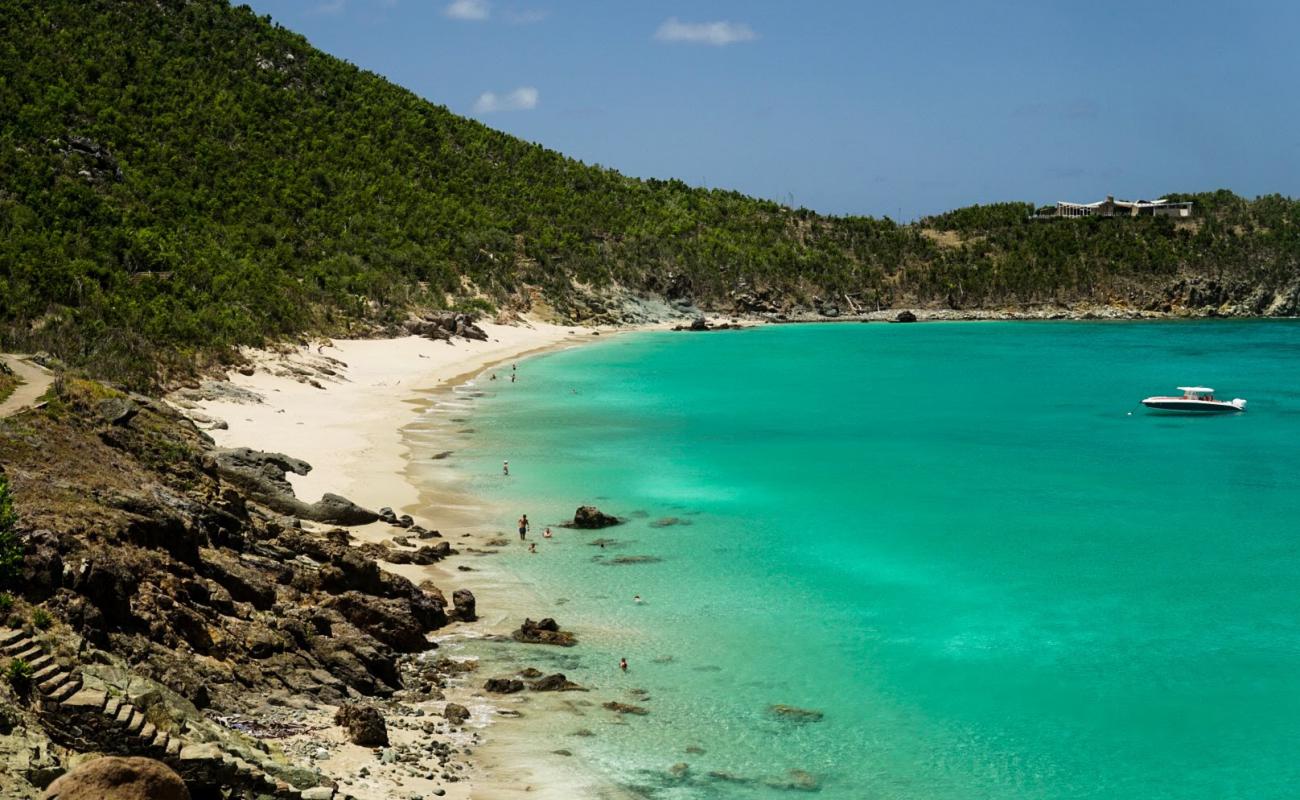 Photo of Colombier beach with bright fine sand surface