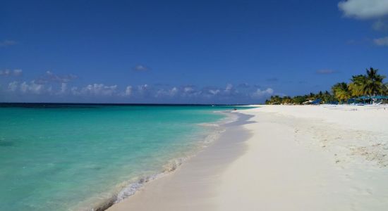 Shoal Bay beach