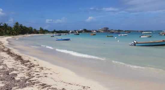 Falcon Nest beach