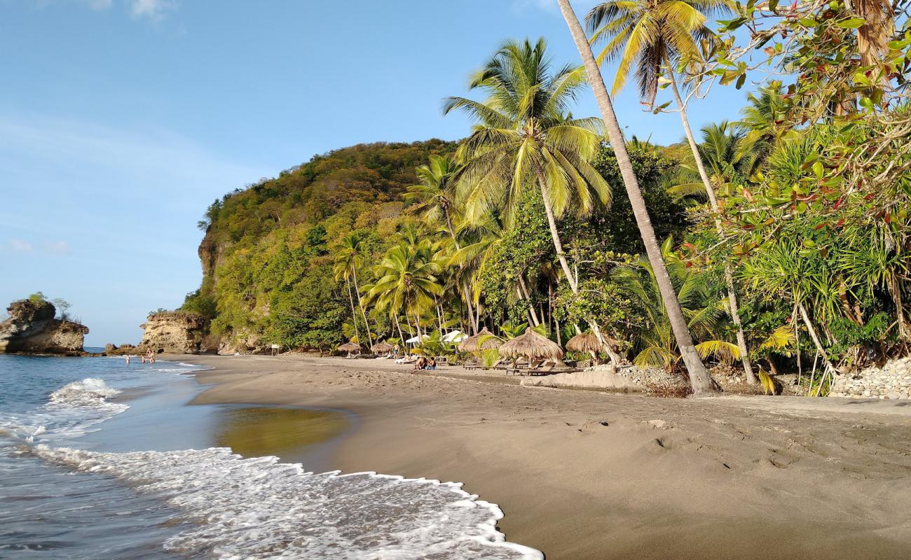 Photo of Anse Mamin beach with bright shell sand surface