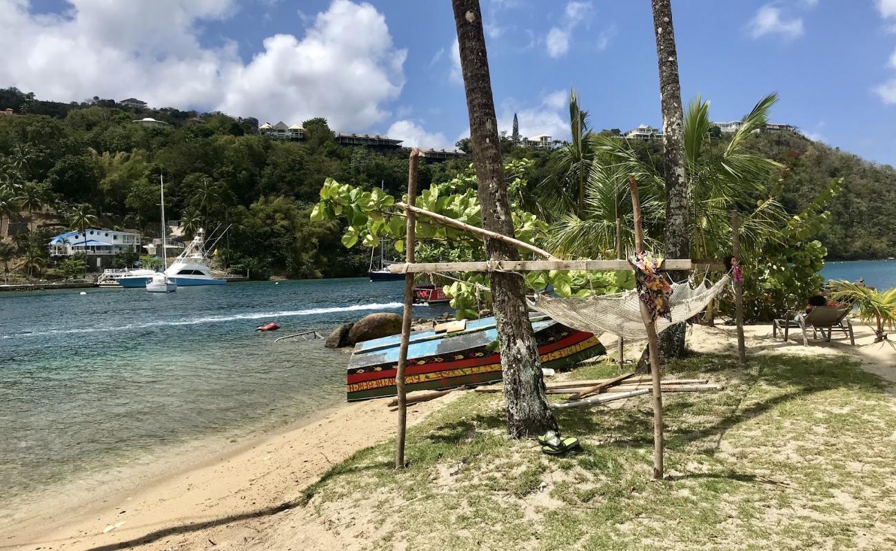 Photo of Roots beach with bright sand surface