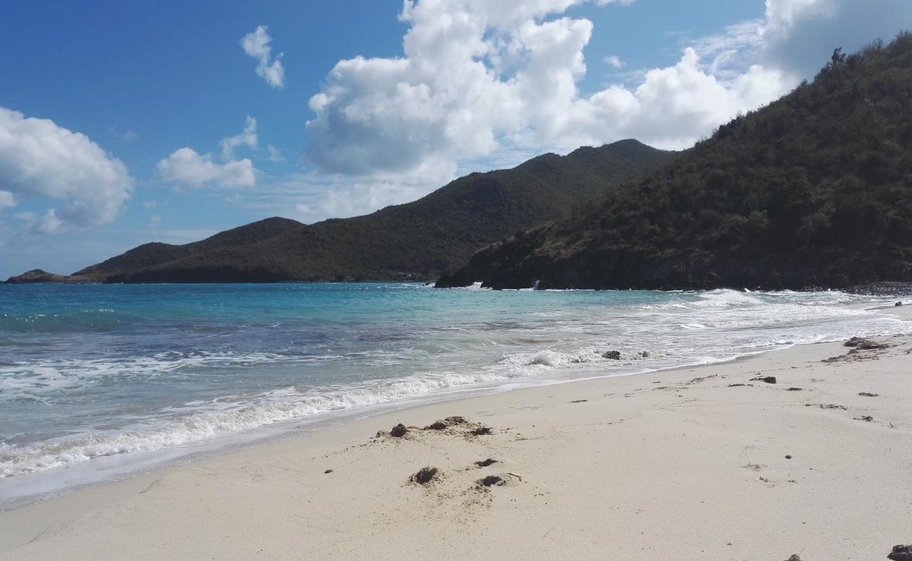 Photo of Duck's beach with bright sand & rocks surface