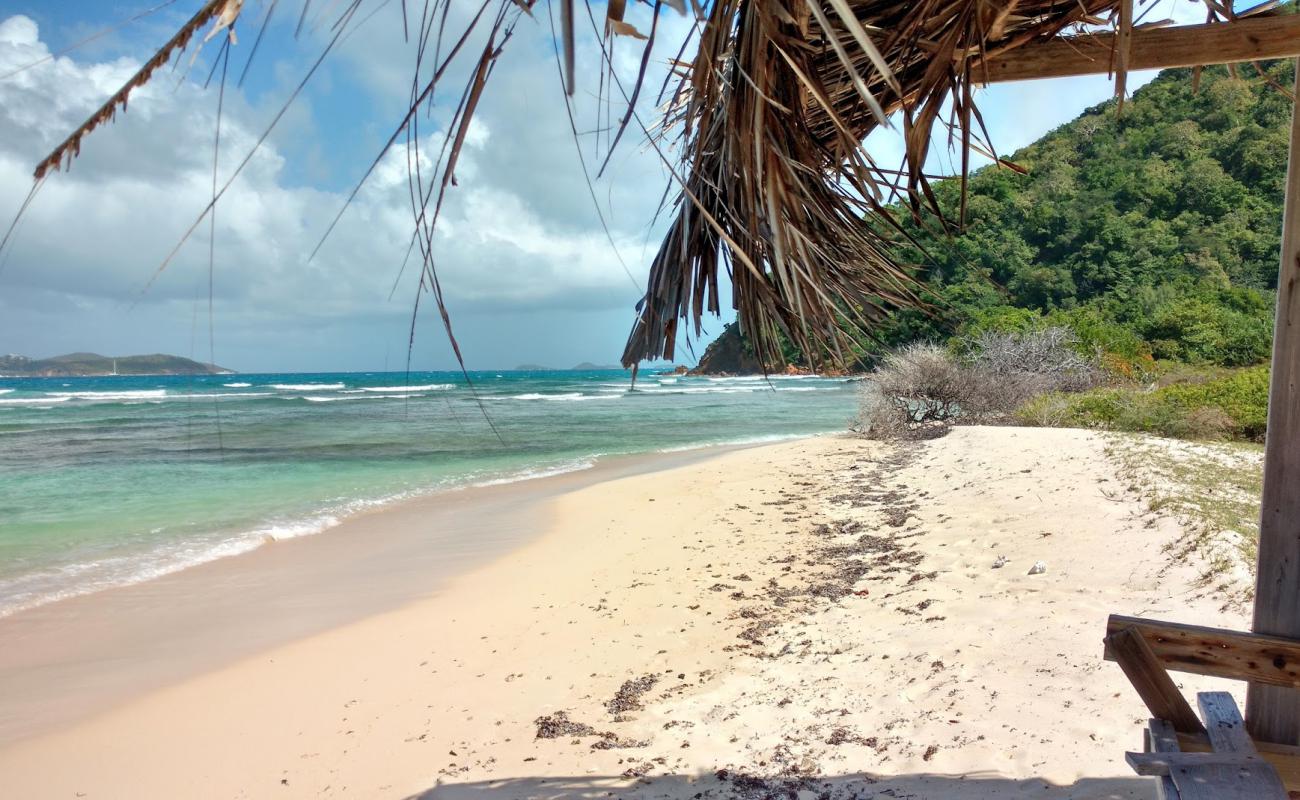 Photo of Belmont Bay beach with white sand surface