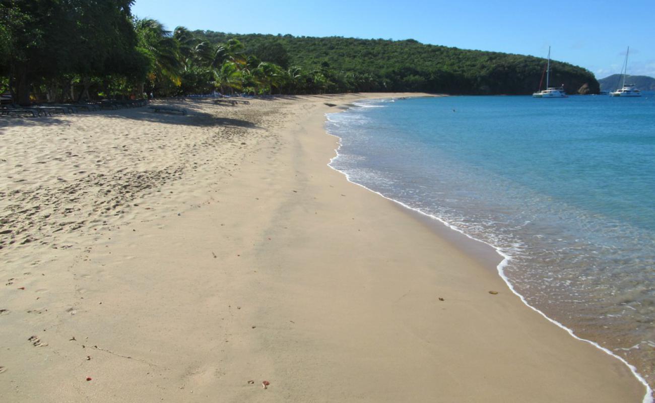 Photo of Saline beach with bright sand surface