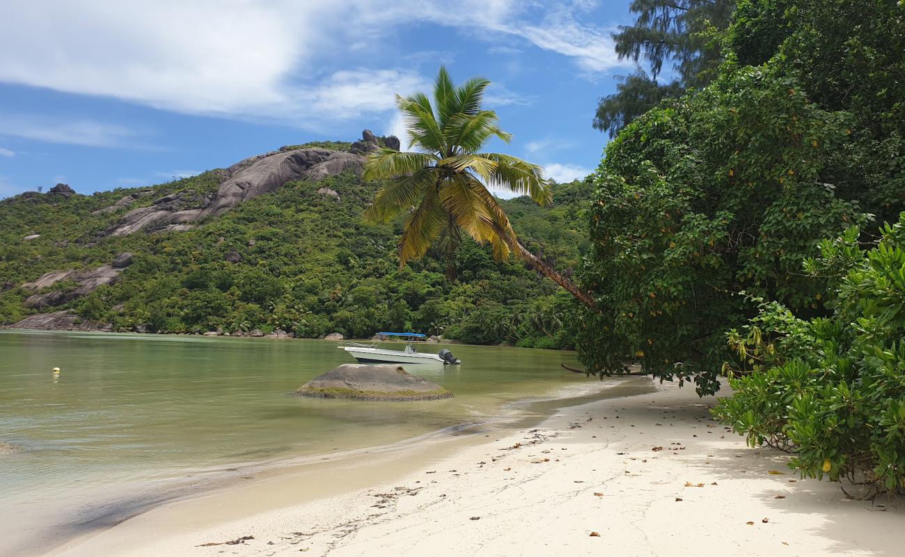 Photo of Baie Ternay Beach with bright fine sand surface