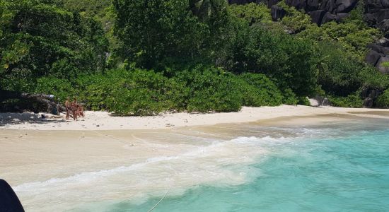 Anse Du Riz Beach