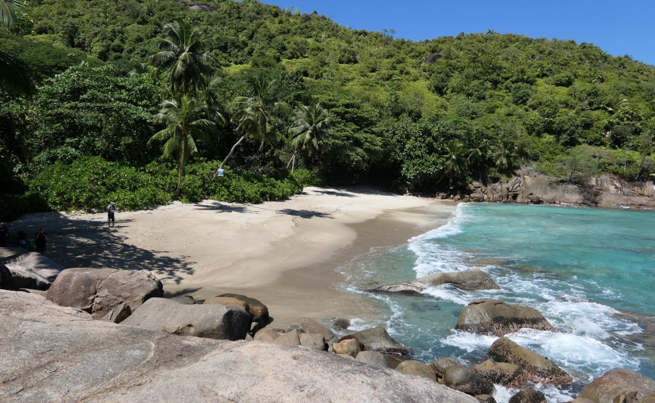 Photo of Anse Major Beach with bright fine sand surface