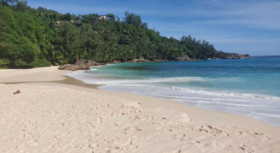 Anse Forbans Beach