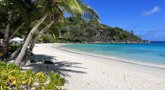 Petite Anse Beach