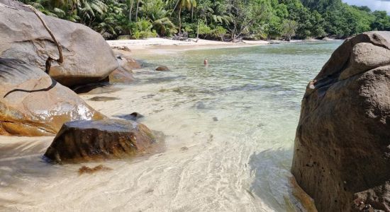 Anse Cabot Beach