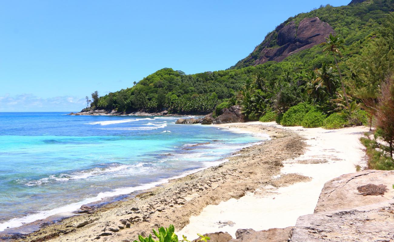 Photo of Anse Lascars with bright sand surface