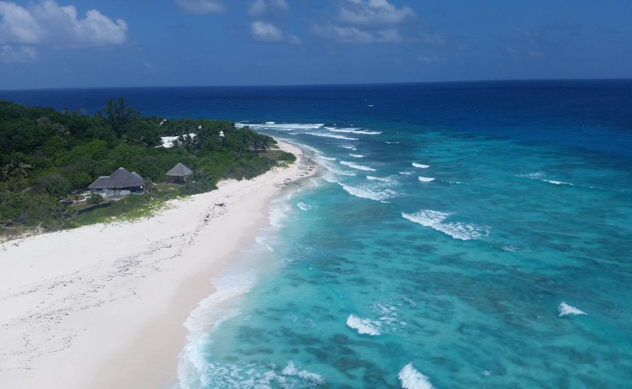 Photo of Cousine Island Beach with white fine sand surface