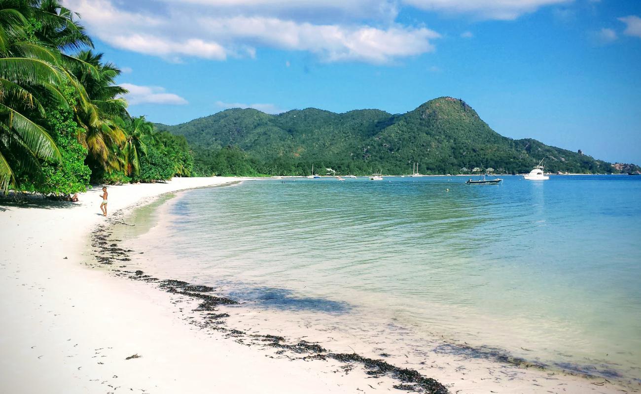 Photo of Grand Anse beach with white fine sand surface