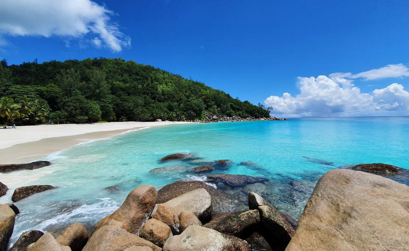 Photo of Anse Georgette Beach with white fine sand surface