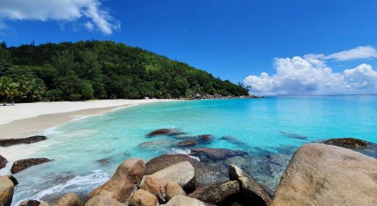 Anse Georgette Beach