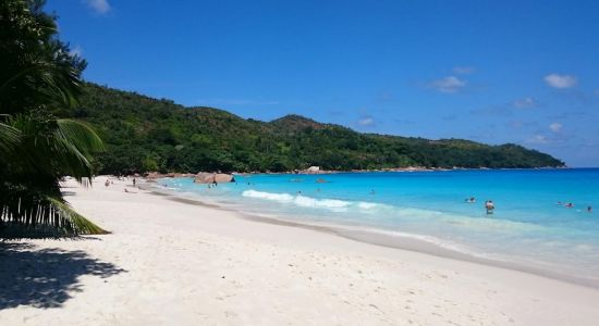 Anse Lazio Beach