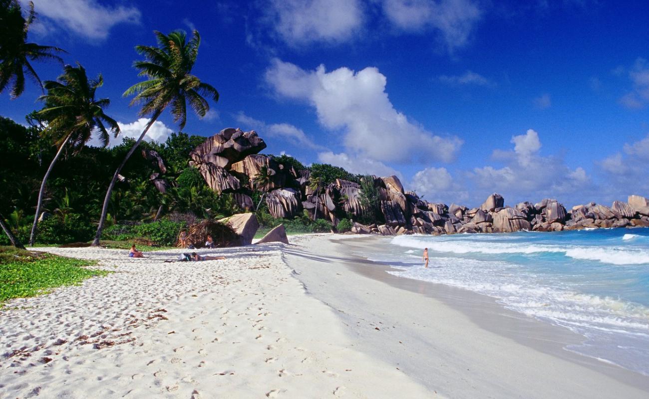 Photo of Grand Anse Beach with white fine sand surface