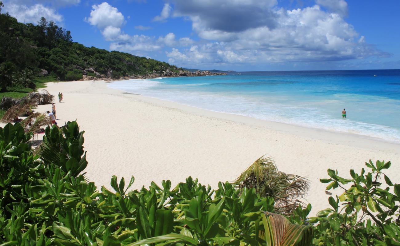 Photo of Petite Anse Beach with white fine sand surface